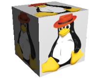 Pinguis Web Design image 19